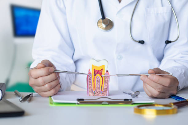 Best Urgent Care for Lost Fillings or Crowns in Huntsville, AR